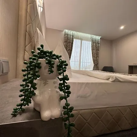 Del Ponte מלון *